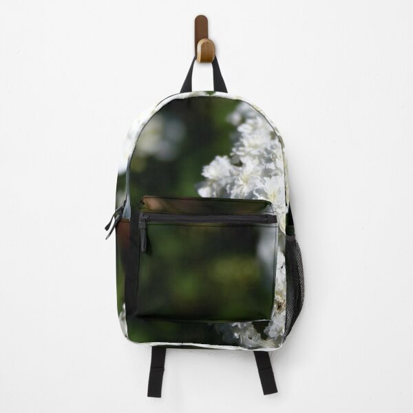 Item preview, Deutzia Bountiful White Blooms designed and sold by taiche.