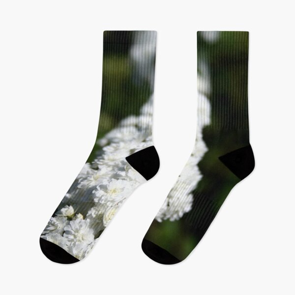 Item preview, Deutzia Bountiful White Blooms designed and sold by taiche.