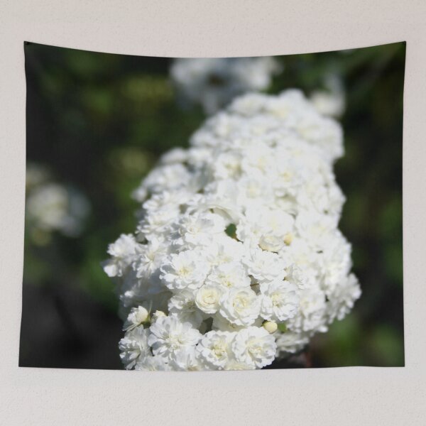 Item preview, Deutzia Bountiful White Blooms designed and sold by taiche.