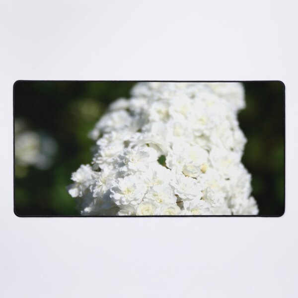 Item preview, Deutzia Bountiful White Blooms designed and sold by taiche.