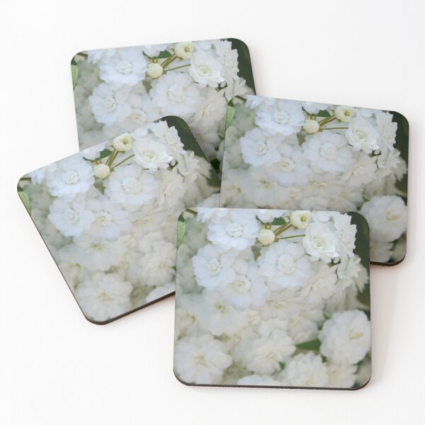 Item preview, Deutzia Full Bloom White Blossom designed and sold by taiche.