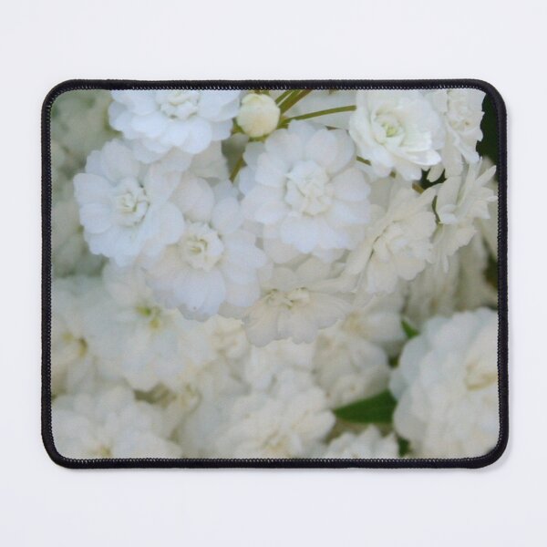 Item preview, Deutzia Full Bloom White Blossom designed and sold by taiche.