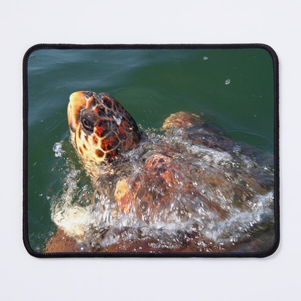 Item preview, Loggerhead Turtle (Caretta Caretta) Breaking The Sea Surface designed and sold by taiche.