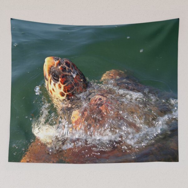 Item preview, Loggerhead Turtle (Caretta Caretta) Breaking The Sea Surface designed and sold by taiche.