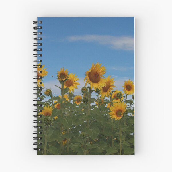 Item preview, Sunflowers designed and sold by Callumsphotos.