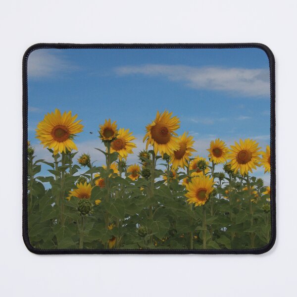 Item preview, Sunflowers designed and sold by Callumsphotos.