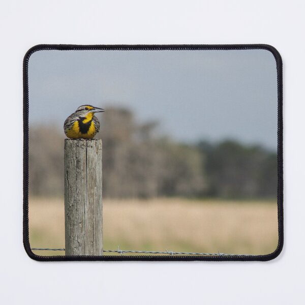 Item preview, Beautiful Bird Resting designed and sold by Loveourbug.