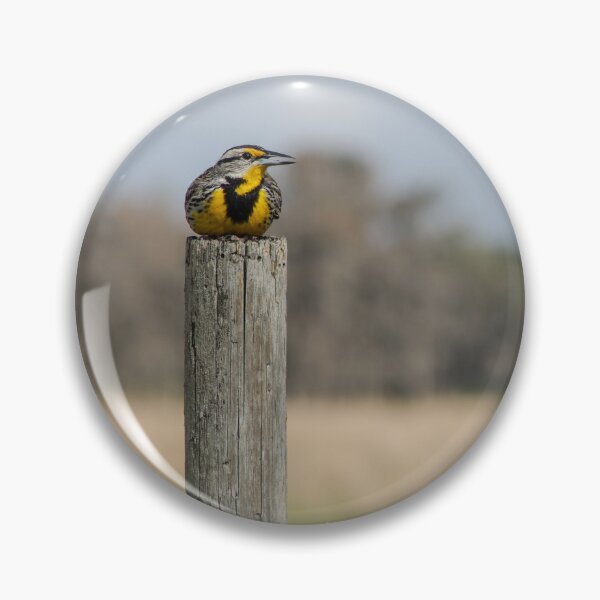 Item preview, Beautiful Bird Resting designed and sold by Loveourbug.