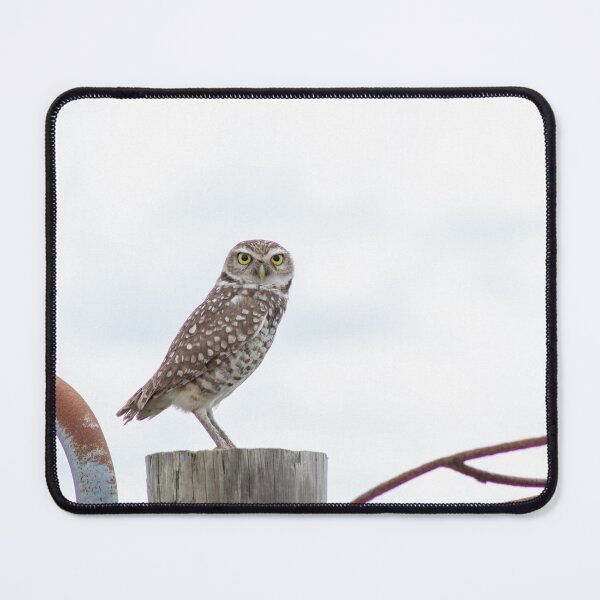 Item preview, Burrowing Owl designed and sold by Loveourbug.