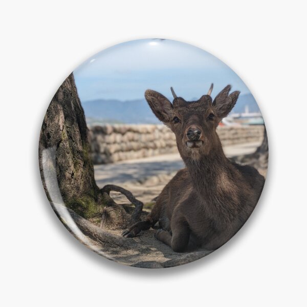 Item preview, Sitting Deer Portait designed and sold by WrightPhoto.