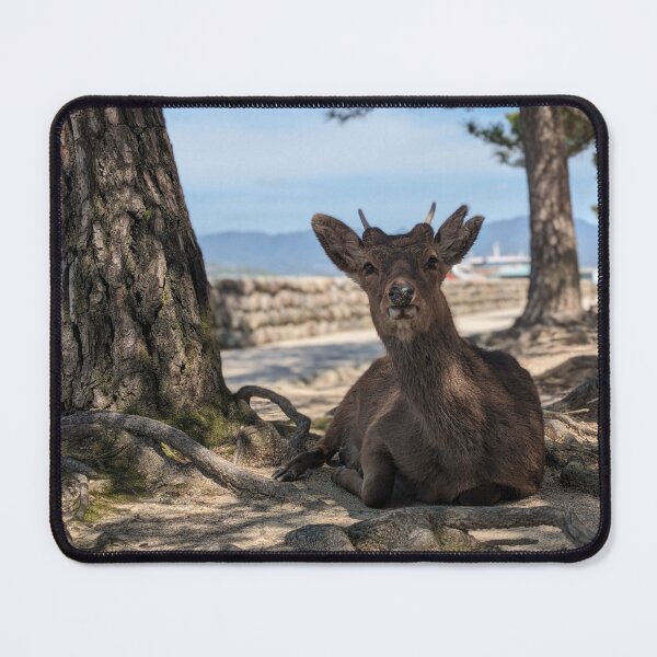 Item preview, Sitting Deer Portait designed and sold by WrightPhoto.