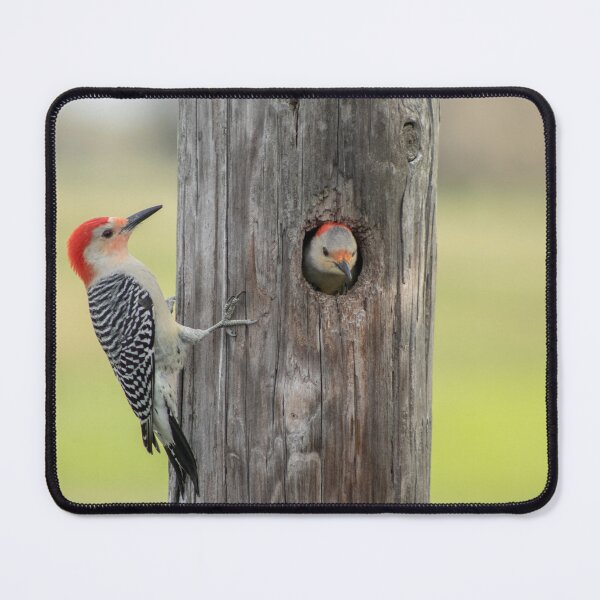 Item preview, Woodpeckers  designed and sold by Loveourbug.