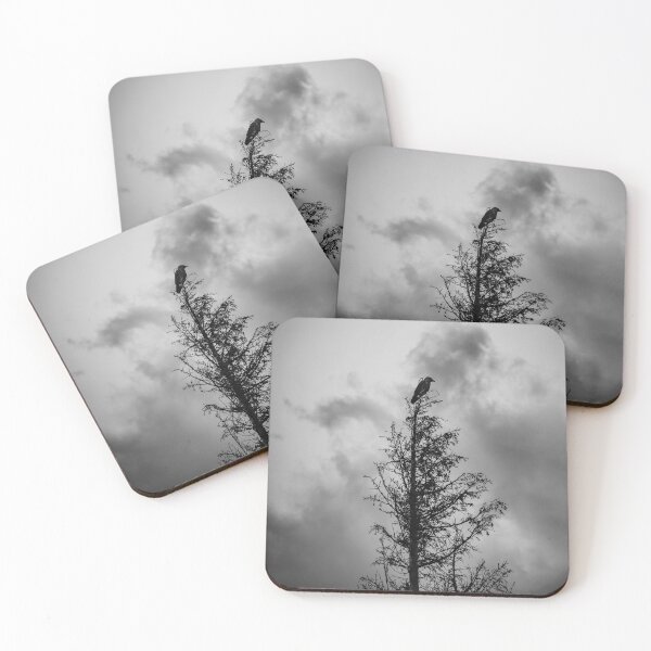 Item preview, Jackdaw making a mood designed and sold by EideticShots.