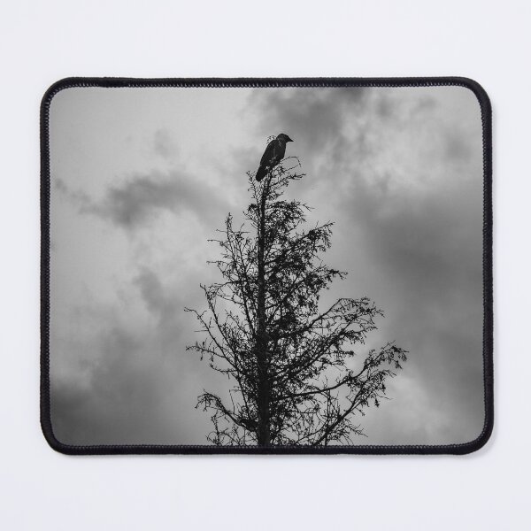 Item preview, Jackdaw making a mood designed and sold by EideticShots.
