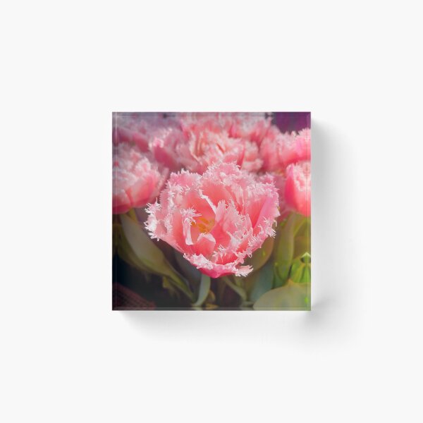 Item preview, Flower Show Tulips 2024 designed and sold by Jimbo McCoy.