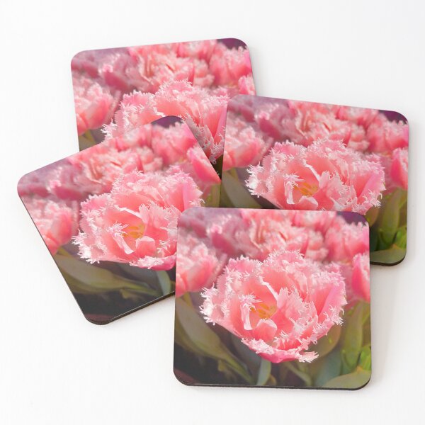 Item preview, Flower Show Tulips 2024 designed and sold by Jimbo McCoy.