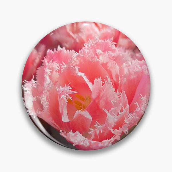 Item preview, Flower Show Tulips 2024 designed and sold by Jimbo McCoy.