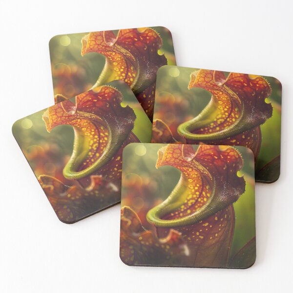 Item preview, Pitcher Plant Enigma designed and sold by D-ArtistryHub.