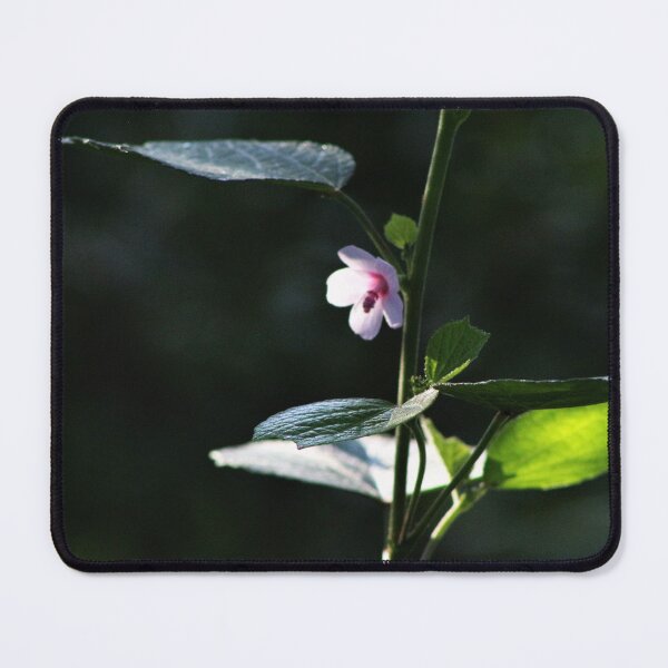 Item preview, sun kissed pink flower designed and sold by Loveourbug.