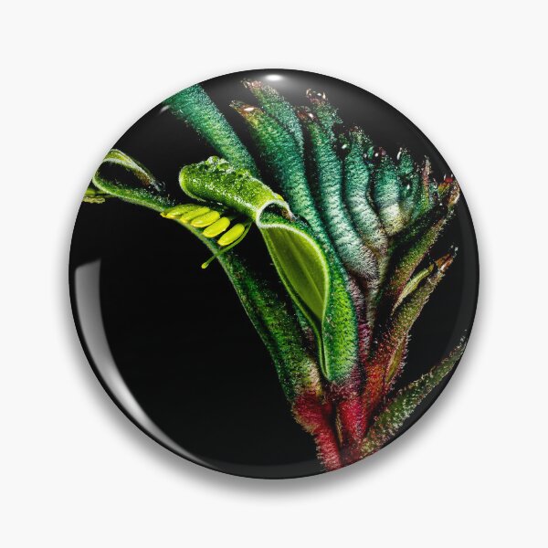 Item preview, Kangaroo Paw designed and sold by Glenn-Smith.