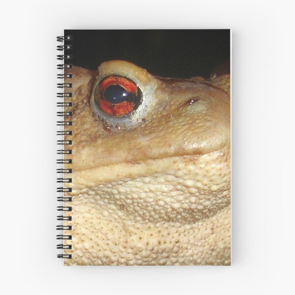 Item preview, Close Up Portrait of A Common Toad designed and sold by taiche.