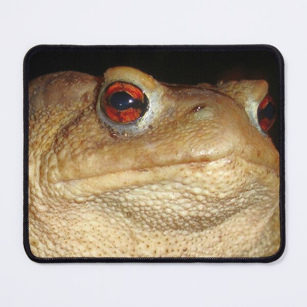 Item preview, Close Up Portrait of A Common Toad designed and sold by taiche.