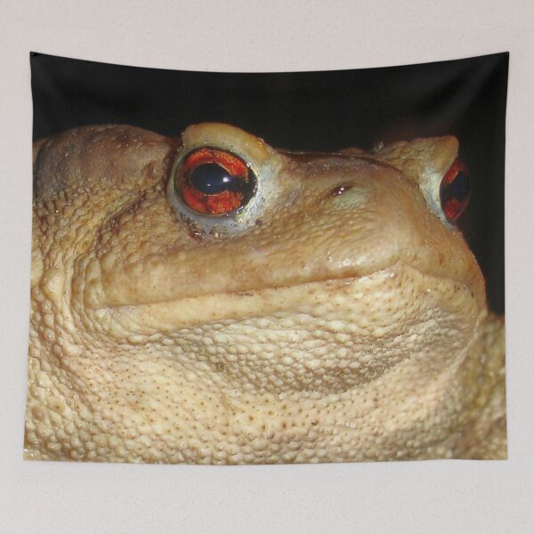 Item preview, Close Up Portrait of A Common Toad designed and sold by taiche.