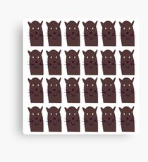 Little cute Kittens, brown Canvas Print
