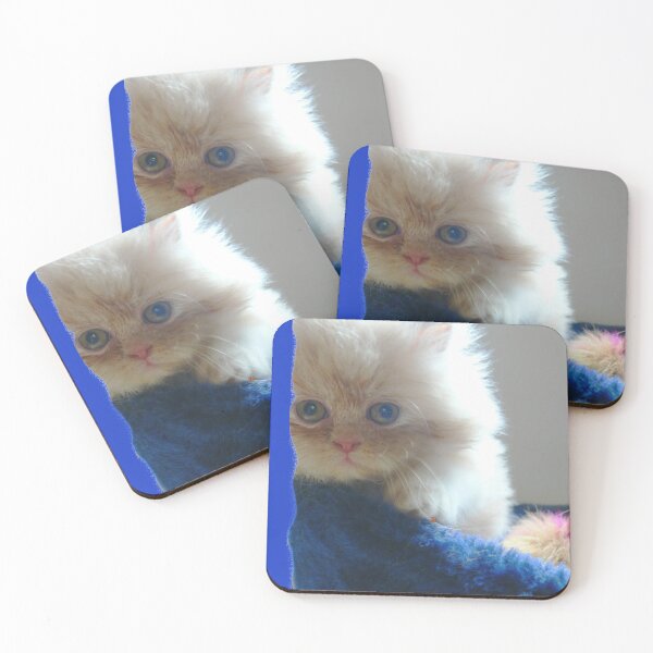 Item preview, Aris Persian Cat in Armani Blue (Photography by AliceCCI) designed and sold by VanyssaGraphics.