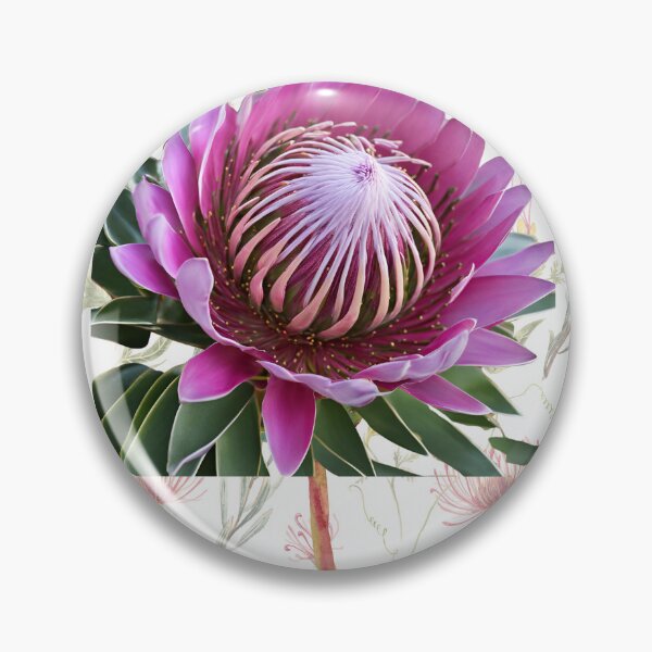 Item preview, cute protea flowers designed and sold by Yeyishop.