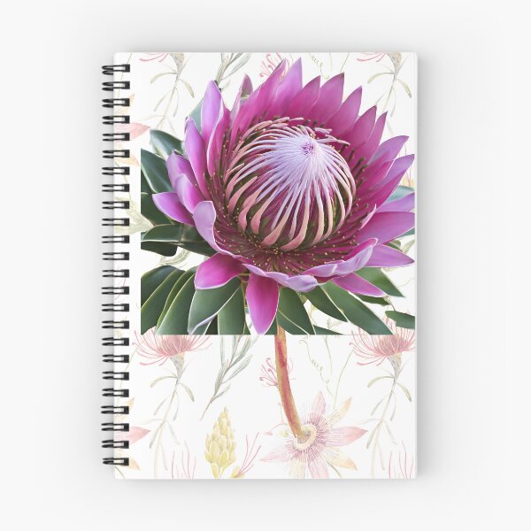 Item preview, cute protea flowers designed and sold by Yeyishop.