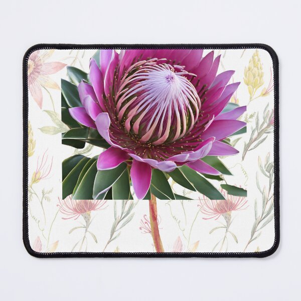 Item preview, cute protea flowers designed and sold by Yeyishop.
