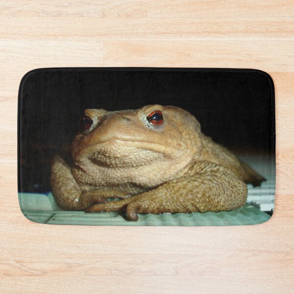 Item preview, A Common Toad With Philosophical Disposition designed and sold by taiche.