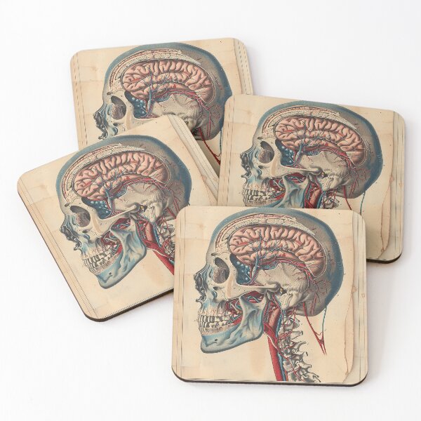 Item preview, Vintage Anatomy Art Medical Poster designed and sold by nomiraclehere.