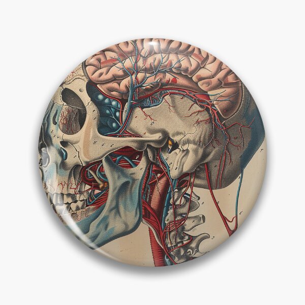 Item preview, Vintage Anatomy Art Medical Poster designed and sold by nomiraclehere.