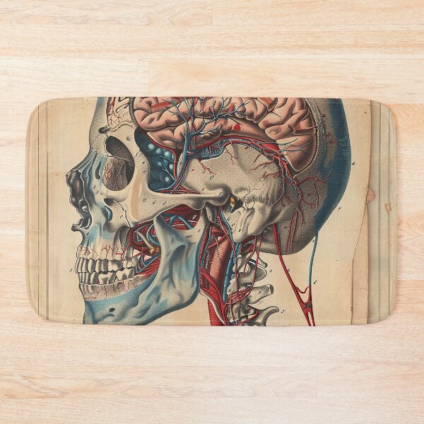 Item preview, Vintage Anatomy Art Medical Poster designed and sold by nomiraclehere.