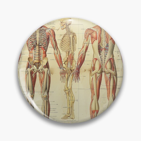 Item preview, Vintage Anatomy Art Medical Poster designed and sold by nomiraclehere.