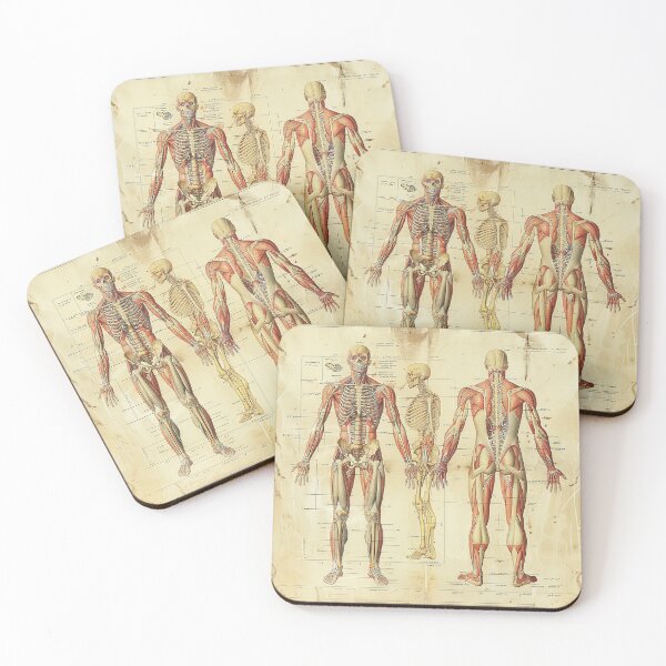 Item preview, Vintage Anatomy Art Medical Poster designed and sold by nomiraclehere.