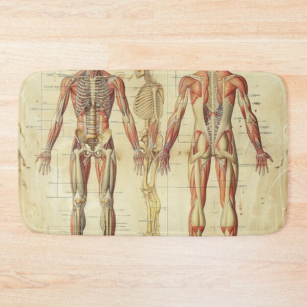 Item preview, Vintage Anatomy Art Medical Poster designed and sold by nomiraclehere.