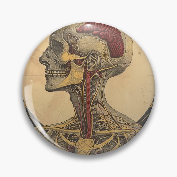 Item preview, Vintage Anatomy Art Medical Poster designed and sold by nomiraclehere.
