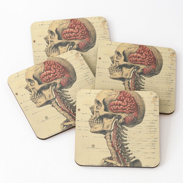 Item preview, Vintage Anatomy Art Medical Poster designed and sold by nomiraclehere.