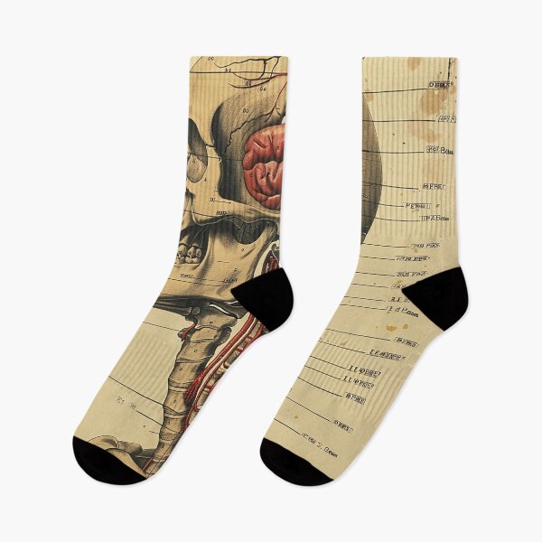 Item preview, Vintage Anatomy Art Medical Poster designed and sold by nomiraclehere.