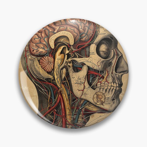 Item preview, Vintage Anatomy Art Medical Poster designed and sold by nomiraclehere.