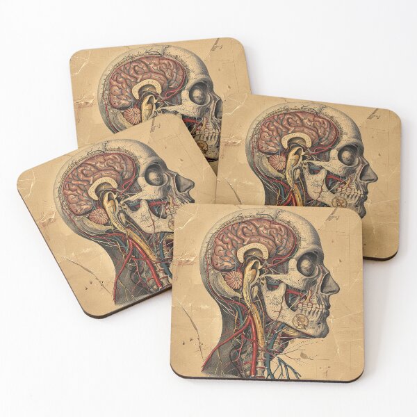 Item preview, Vintage Anatomy Art Medical Poster designed and sold by nomiraclehere.