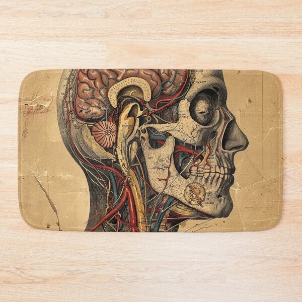 Item preview, Vintage Anatomy Art Medical Poster designed and sold by nomiraclehere.