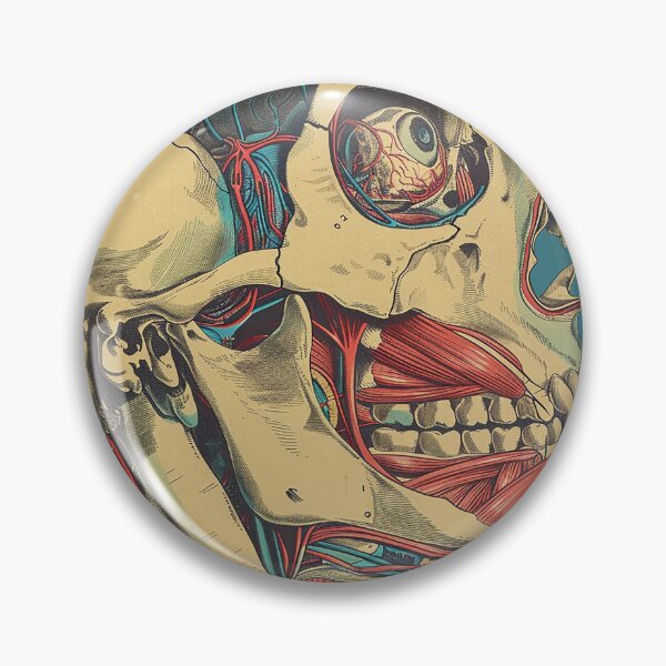 Item preview, Vintage Anatomy Art Medical Poster designed and sold by nomiraclehere.