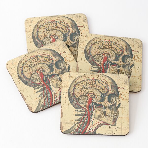 Item preview, Vintage Anatomy Art Medical Poster designed and sold by nomiraclehere.