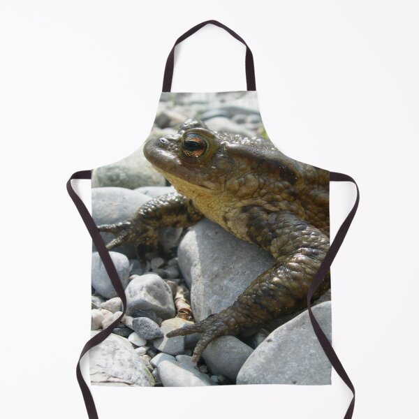 Item preview, Bufo Bufo Toad Lounging On Stones Close Up Photograph designed and sold by taiche.