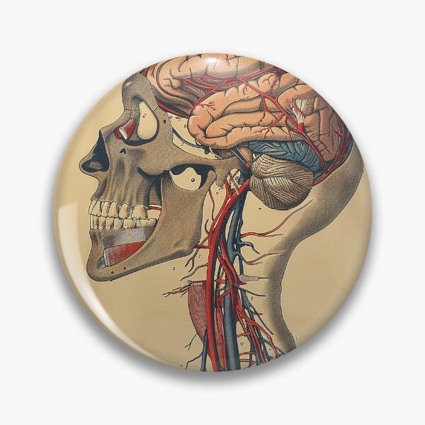 Item preview, Vintage Anatomy Art Medical Poster designed and sold by nomiraclehere.