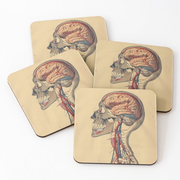 Item preview, Vintage Anatomy Art Medical Poster designed and sold by nomiraclehere.